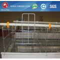 Poultry Equipment Chicken Layer Cage